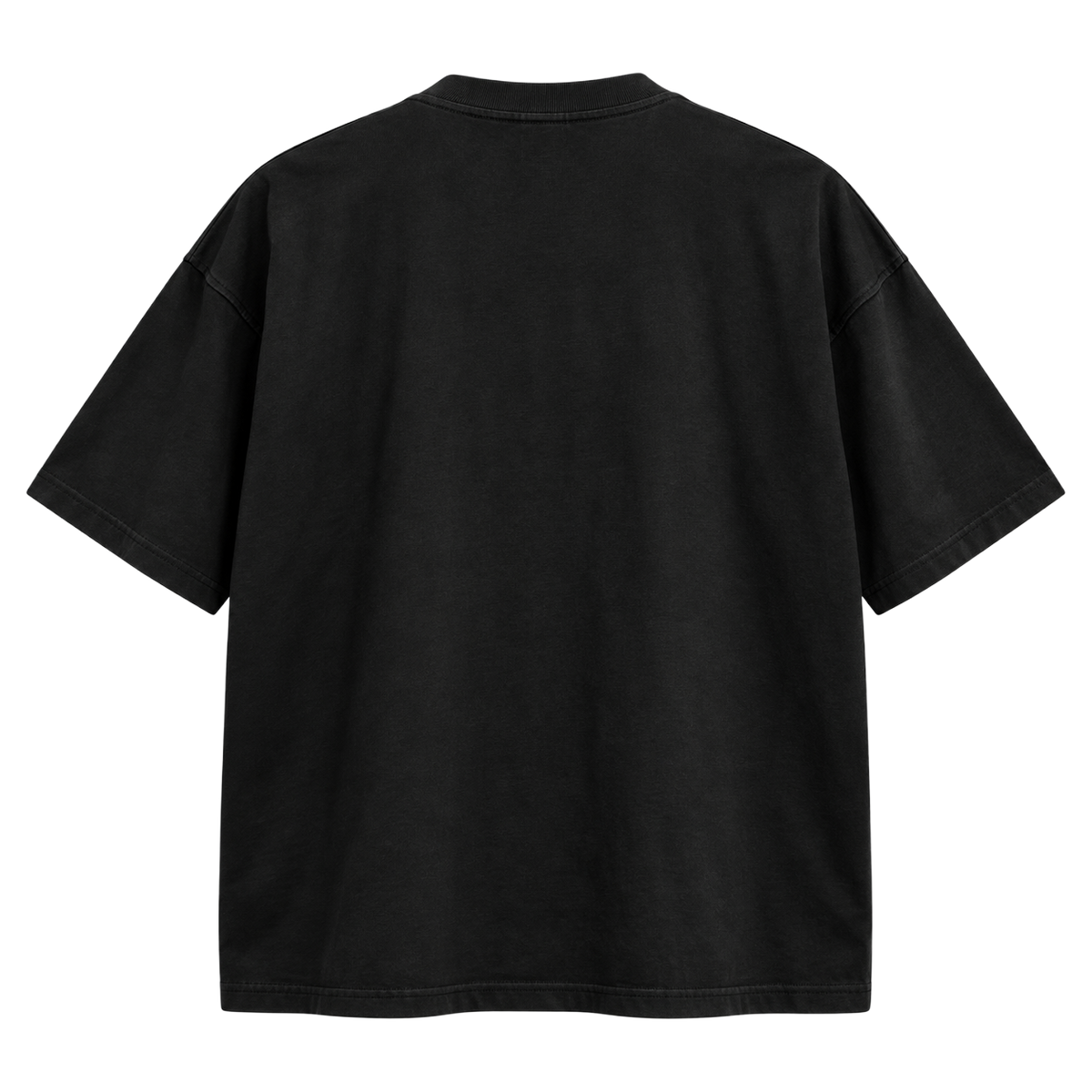 AS Colour Classic Oversized Tee 5069 black plain back.