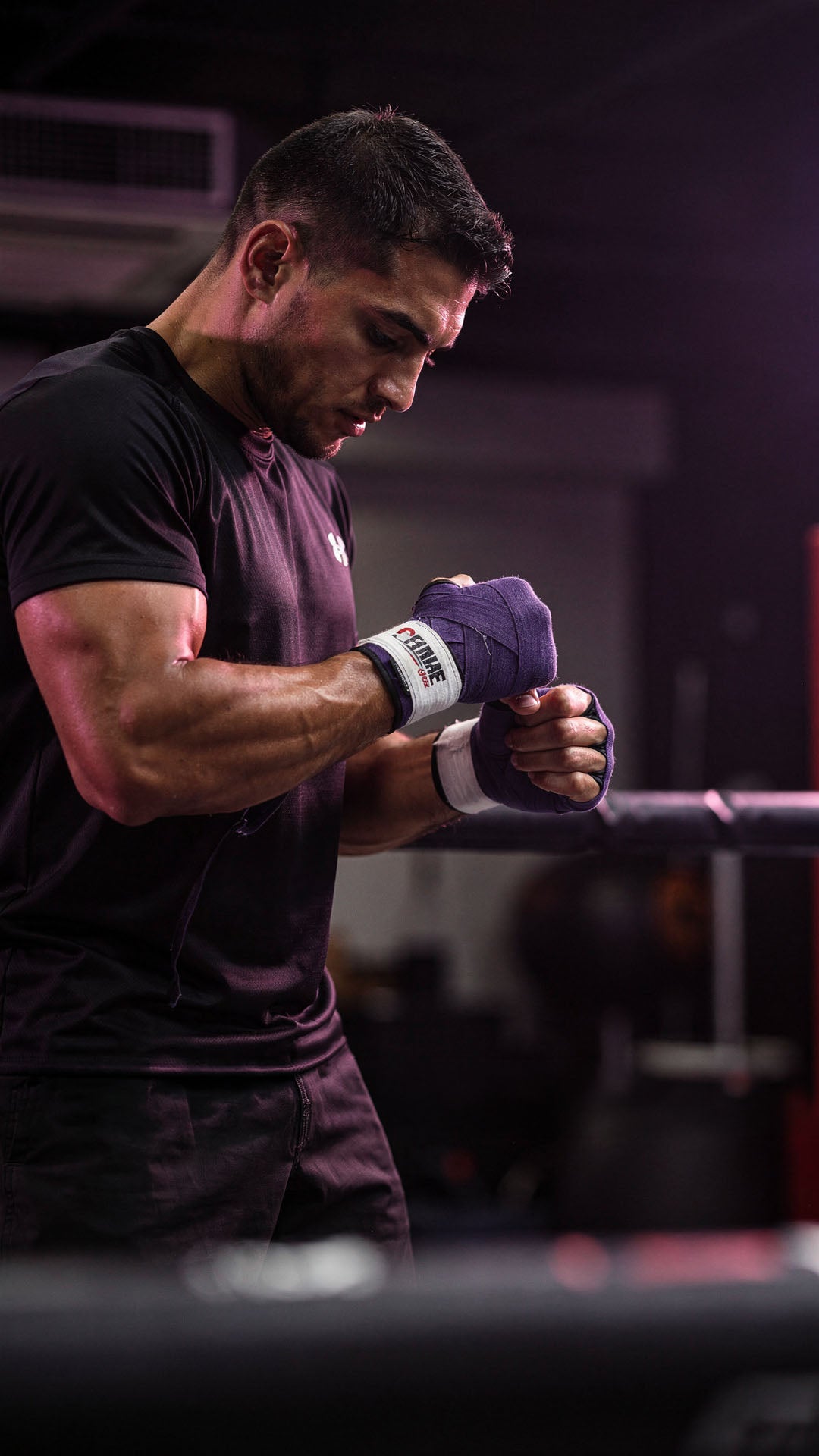 Boxer preparing to train