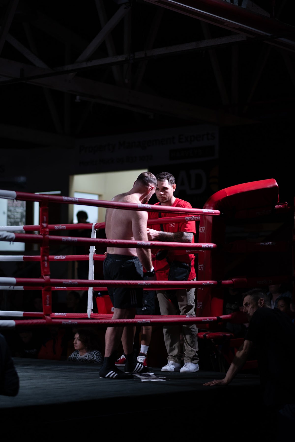 LEE BOXING
